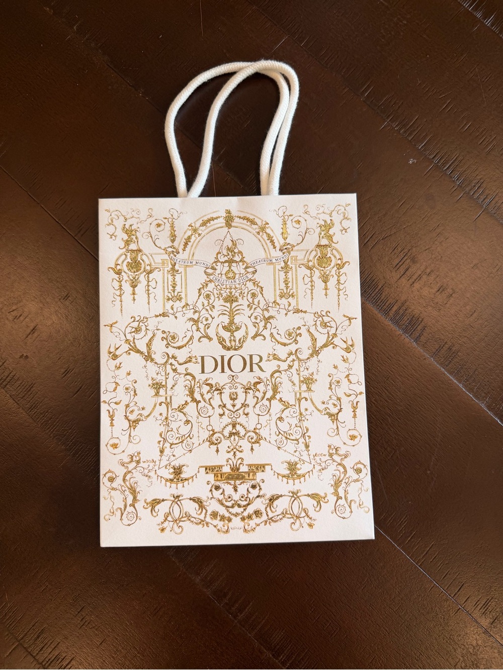 Dior Limited Edition Gold Toile Shopping/Gift Bag – White & Gold